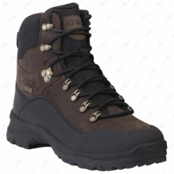 Chaussures AIGLE SARENNE GTX marron