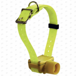Collier de repérage NUM'AXES CANIBEEP...