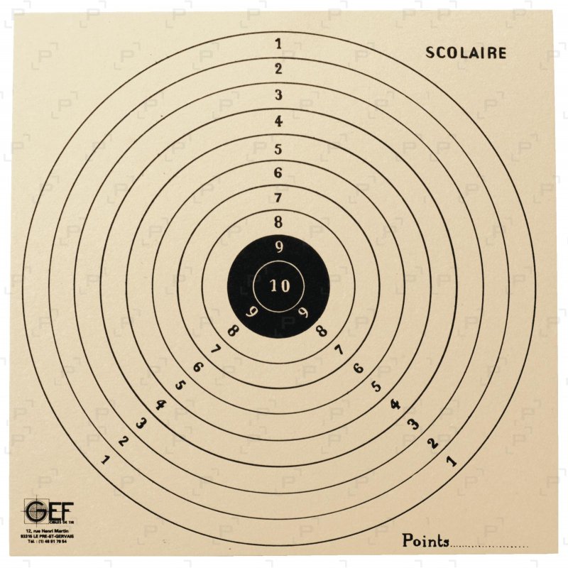 Cibles de tir en carton GEF SCOLAIRE 16 x 16 cm Armurerie Pisteurs