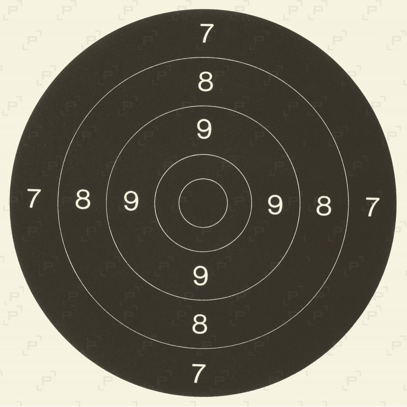 Cible cartonnée COURT VISUEL C50 21x21 cm Armurerie Pisteurs — free download