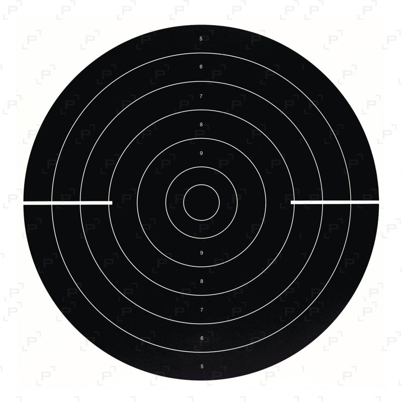 Cible cartonnée COURT C50 VO 51x52 cm pour pistolets Armurerie Pisteurs — free download