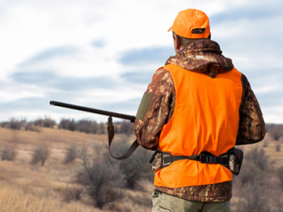 Ouverture de la chasse : Calendrier 2023-2024 par département